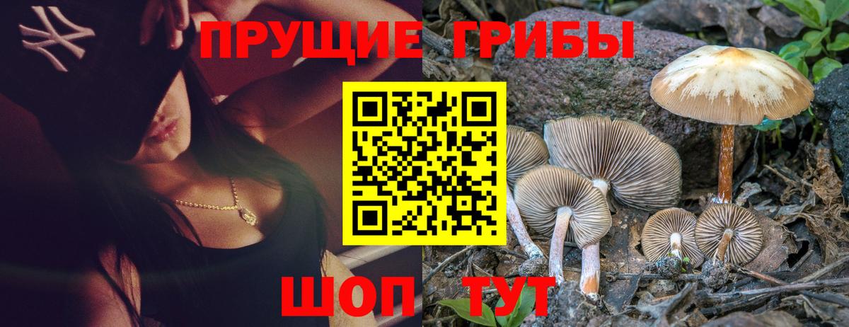 Аксай  Галлюциногенные грибы мицелий  Галлюциногенные грибы прущие грибы  Вход с VPN 