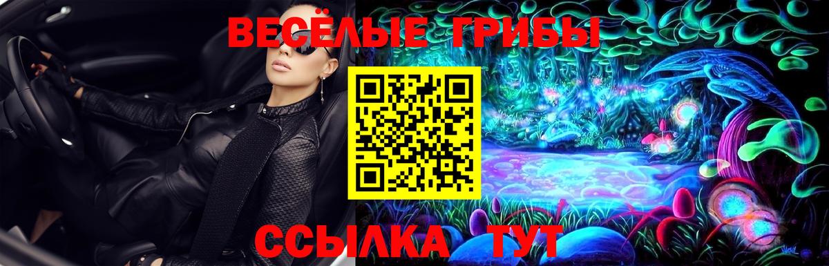Псилоцибиновые грибы GOLDEN TEACHER Аксай